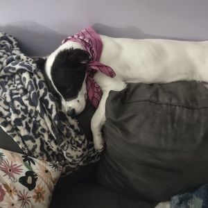 Meet your Posher, Todd